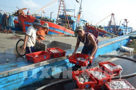 EC xem xét 'thẻ vàng' với thủy sản Việt Nam trong tháng 5/2018 ảnh 2